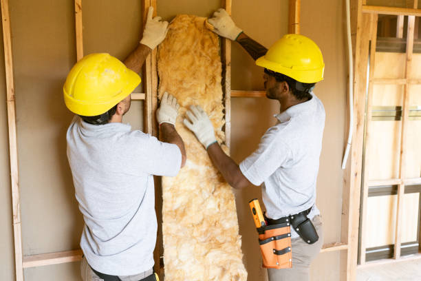 Best Insulation for New Construction  in St Hedwig, TX